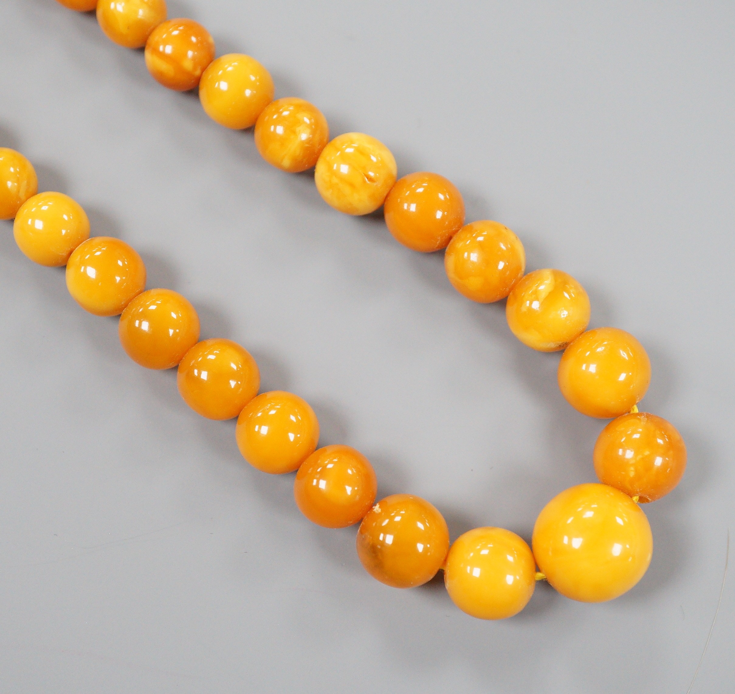 A singe strand graduated circular amber bead necklace, 42cm, gross weight 16 grams.
